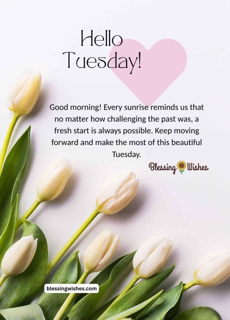 Good Morning Tuesday