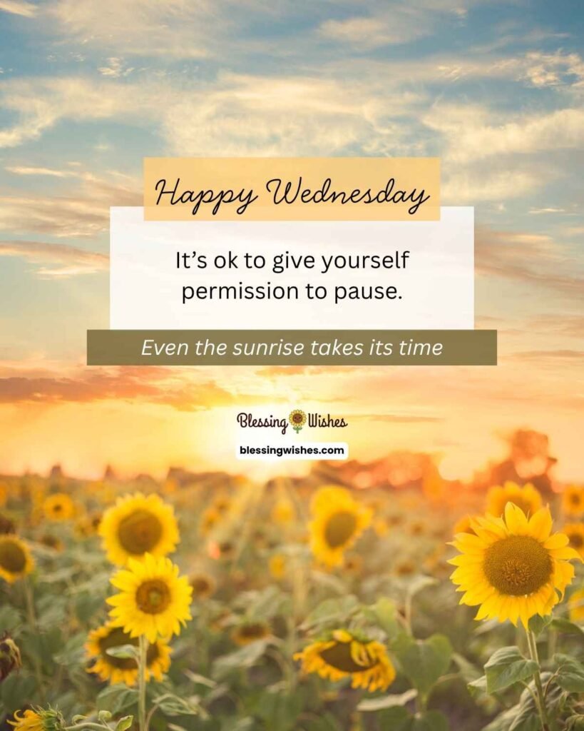 Wednesday Blessings
