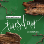 120+ Tuesday Blessings for a Wonderful Day – Cute Images (2026)