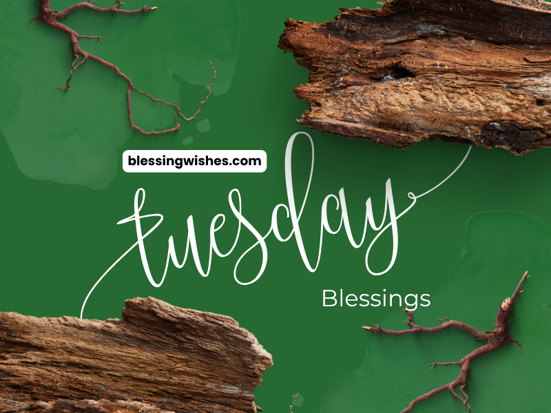Tuesday Blessings